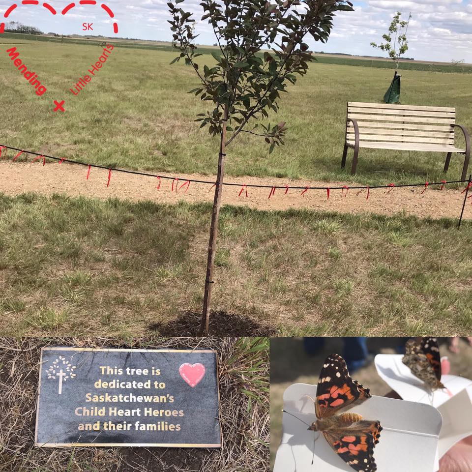 memorial tree