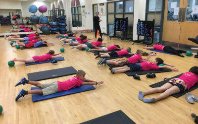 CHAMPS 12 – week home based exercise training pilot study