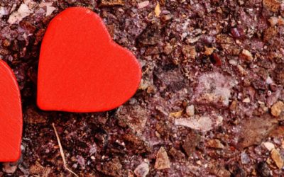 A pilot health intervention study of children with CHD